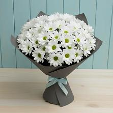 Букет цветов из:  Хризантемы в Черкизово
