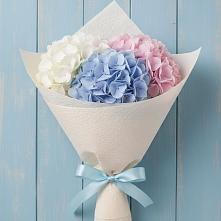 Букет цветов из:  Гортензия в Черкизово