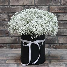 Цветочная композиция из Гипсофила в шляпной коробке в Черкизово