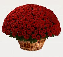 Премиум букет из: Розы в Черкизово