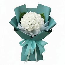 Букет цветов из:  Гортензия в Черкизово